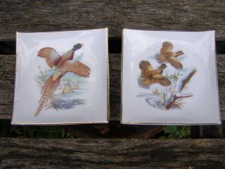 Vintage Fine Porcelain Pheasant Bird Mini Square Plates