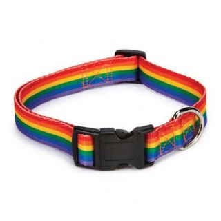 puppy pride collection for dogs puppy pride dog collars