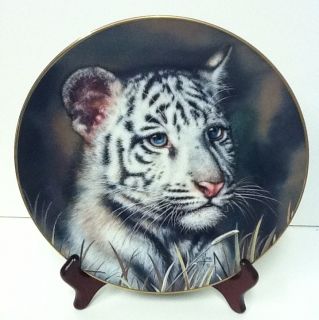 White Tiger Cub Princeton Gallery 1992 Porcelain Collector Plate
