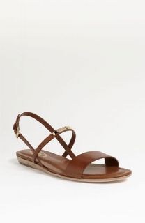 Tods Flat Sandal