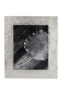 Michael Aram Forest Leaf 8x10 Picture Frame