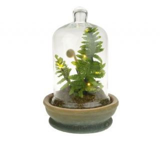 BethlehemLights BatteryOperated 12 Potted Bell Jar Fern with Timer 