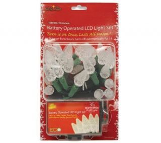 Battery Operated 35 Count C6 LED Light Set   Warm White —