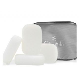 Clientele Sponge Quartet with Gray Vinyl TravelBag —