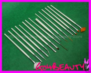 Comprehensive Nail art pens Brushes Set of 15