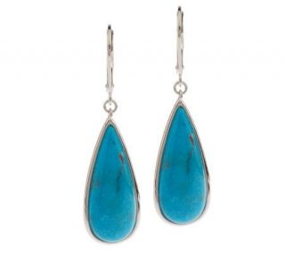 Sterling Turquoise Pear Shape Lever Back Earrings —