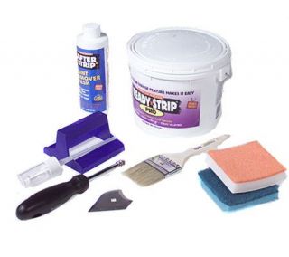 Ready Strip Pro Paint and Varnish Removal Kit —