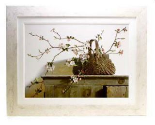Apple Blossoms Framed Print by Pauline Eble —