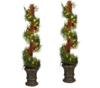 Set of 2 Prelit 42 Pine Spiral Trees with Urns —