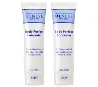 Dr. Denese Set of 2 Body Perfect Concealers 2.0 oz. —