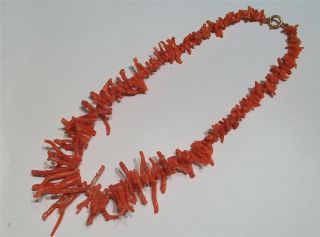Antique Victorian Real Coral Necklace Long Branch Coral