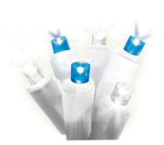 60 Count Blue/Pure White Twinkling LED Icicle Lights —
