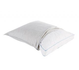 Sleep Number True Silver Standard Pillow Protector   H162864