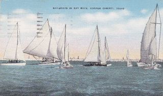 Corpus Christi Texas Sailboats in Bay Race Postcard
