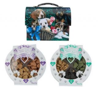 Howies Hearts Dog Treat Variety Pack Set w/Lunch Box   M29772