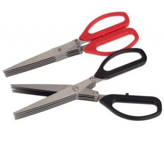 Set of 2 Stainless Steel Shredding and Chopping Scissors —