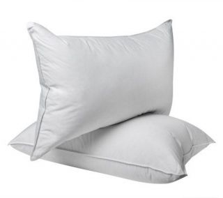 Northern Nights King Set of 2 600 FP Natural Down Pillows —