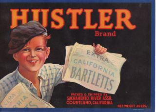 Hustler Fruit Box Label Bartlett Pears Courtland CA