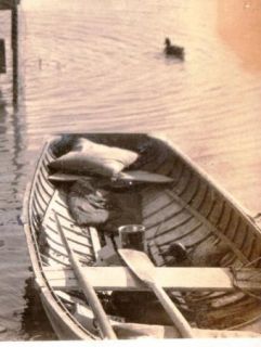 1925 Photo Duck Pen Decoy Hunting Cross Lake New York