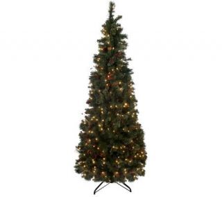Balsam Hill Woodland Pine 7.5 Instant Evergreen Tree —
