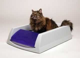 automatic no touch scoop free litter box rakes solid waste out of