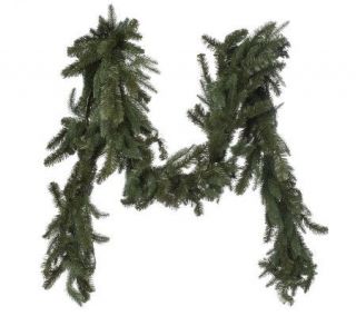 Balsam Hill 9 StratfordSpruce Garland —