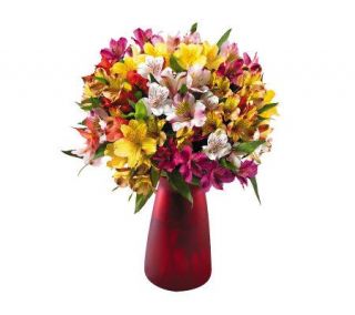 100 Blooms of Peruvian Lilies with Vase by ProFlowers —