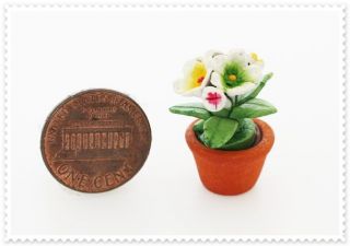material ceramic clay new handmade 1 piece of mini flower in pot can