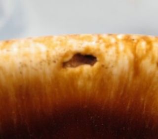 11 MIRROR BROWN COFFEE MUGS Flared Shape HULL CRESTONE MCCOY As Is (O