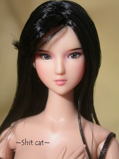 obitsu cy girl custom figure head repaint