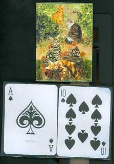 click to view image album beautiful cats playing cards on the surface
