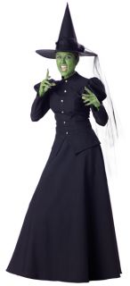  Witch of The West Hag Deluxe Premium Halloween Costume New