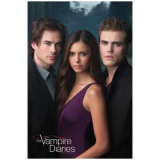Vampire Diaries Cast Poster Damon Elena and Stefan