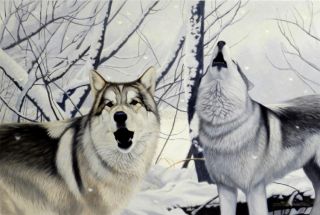 Daniel Renn Pierce Xmas Special Gray Wolves in The Snow 