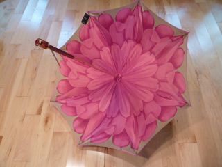  Umbrella by Pasotti Ombrelli Limited Edition Dahlia Flower Pink