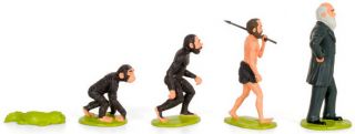 Darwin Evolving Playset 5 PC Set Charles Evolution Figures Evolve