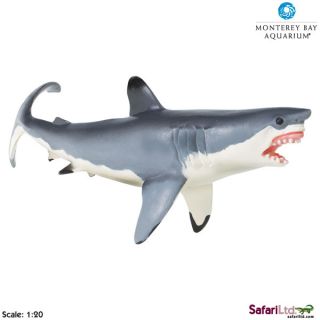 Great White Shark Monterey Bay Free SHIP w $25 Safari