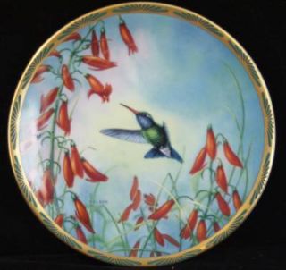 Cyndi Nelson Broad Billed Hummingbird Collectors Plate