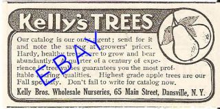 1913 Kelly Brothers Fruit Tree Nursery Ad Dansville NY
