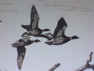 David Hagerbaumer Original Large Etching Pacific Brant Geese Hand