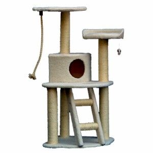 48 Cat Kitten Bungalo Tree Gym with Sisal Rope Scratching Posts and
