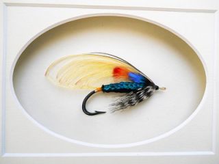 Framed Schmookler Tuckers Riflebird Collectible Creative Atlantic