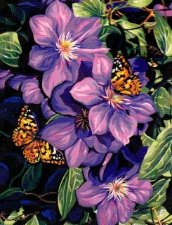 Dimensions Paint by Number Kit 14 x 11 Clematis Butterflies Sale