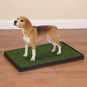 Clean Go Pet Indoor Dog Puppy Potty Grass 27 x 40 Large