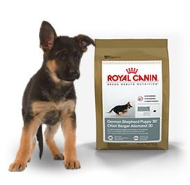 Royal Canin Maxi German Shepherd Puppy Dry Dog Food