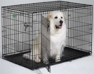 48 Double Door Icrate Dog Crate Kennel Cage with Divider Midwest