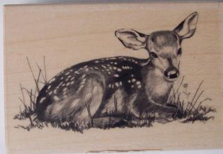  Wood Rubber Stamps Fawn Laying Down