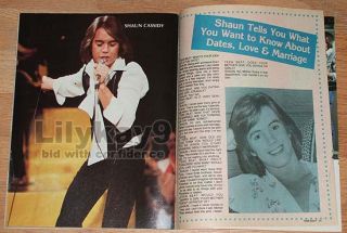 Teen Beat Andy Gibb Kristy McNichol Shaun Cassidy The Bee Gees Leif