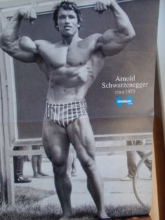  Muscle Magazine Arnold Schwarzenegger Debbie Dobbins 2 94