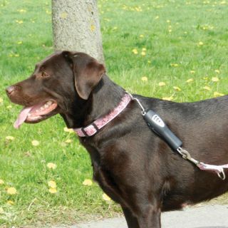  Pet Dog E Walk Basic Dog Trainer Ultrasonic Anti Pulling Training